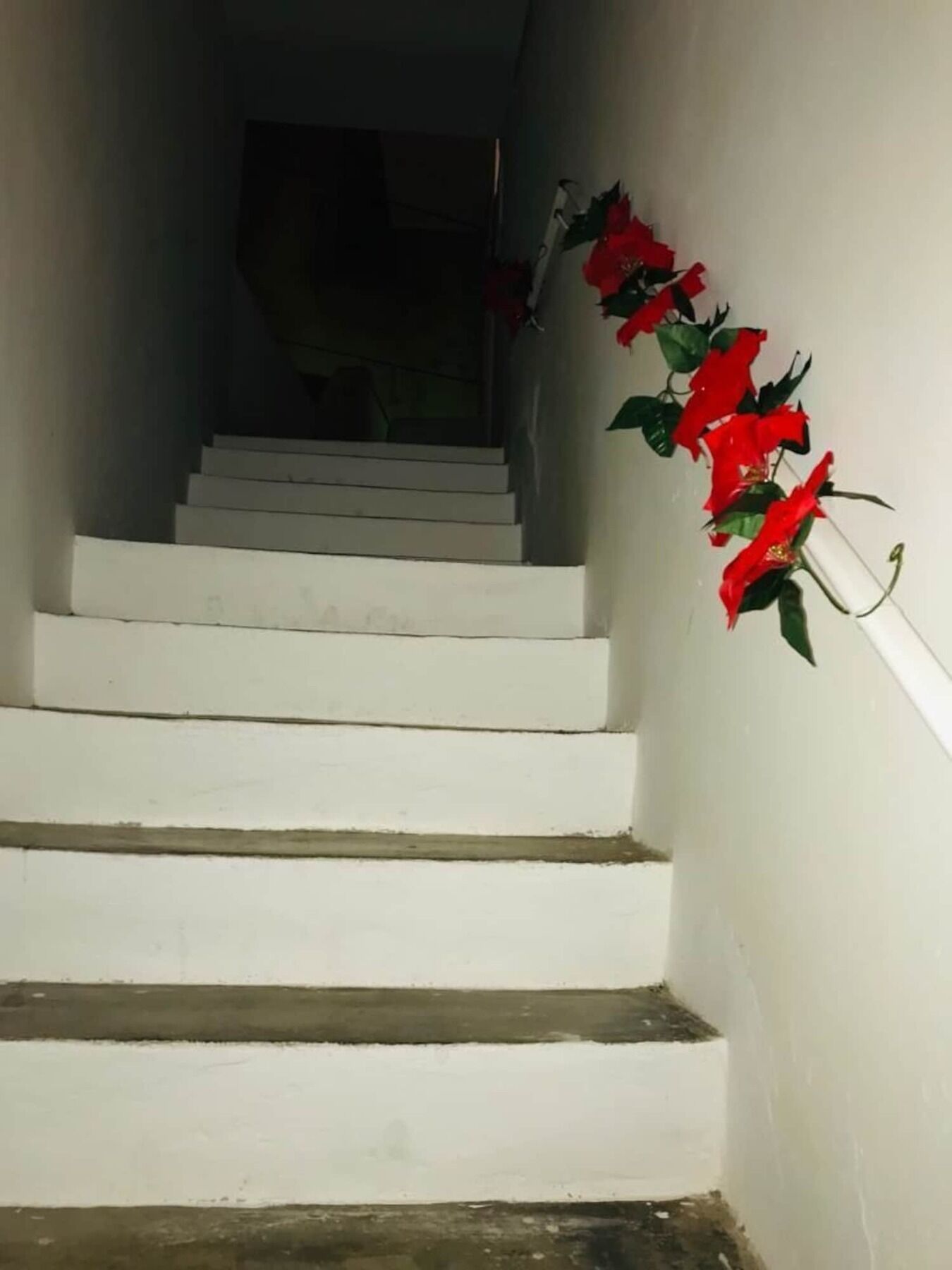 Le Stanze Di Mavi Bed & Breakfast Gravina in Puglia Luaran gambar